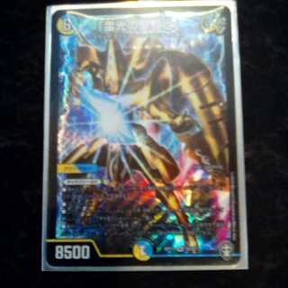 ｢雷光の聖騎士｣