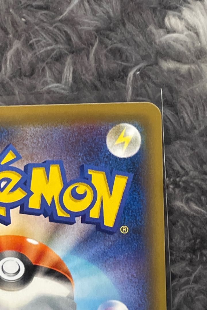 エリカのおもてなし SR 190/173