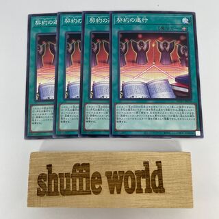 Execution of the Contract 41