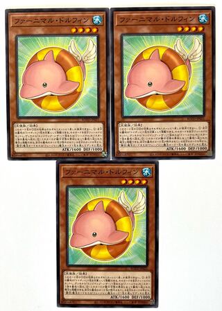 Fluffal Dolphin [Normal] JP021