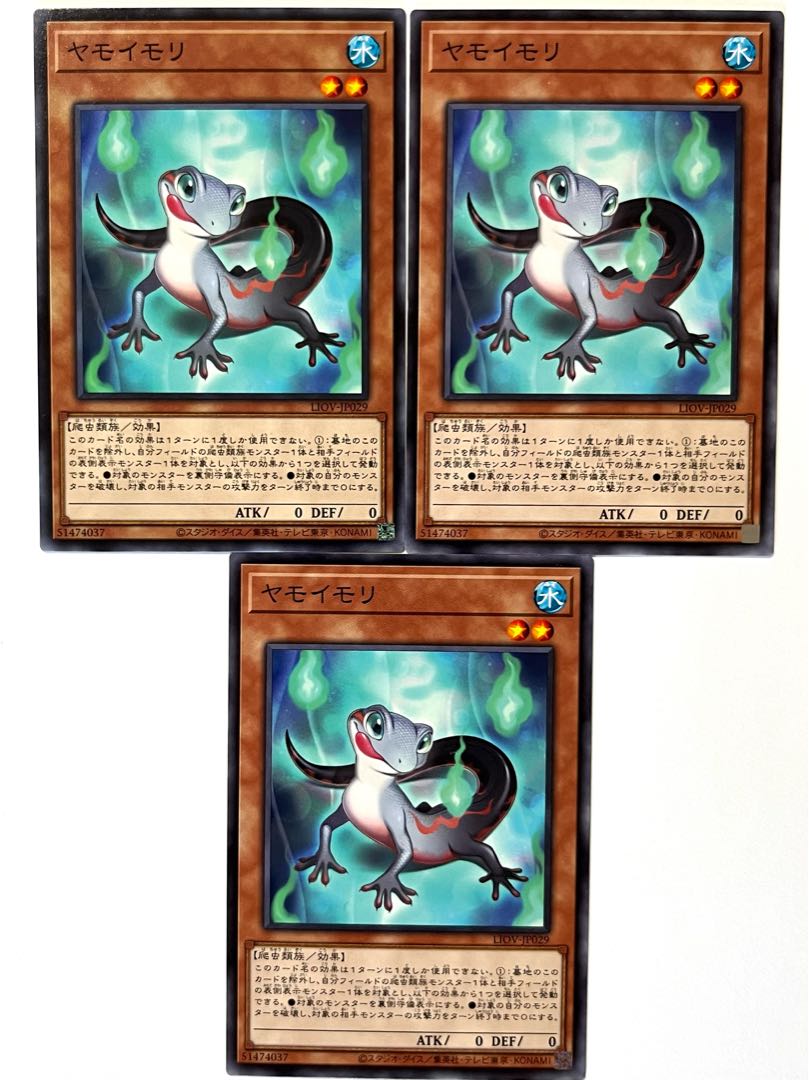 ヤモイモリ 【ノーマル】 JP029