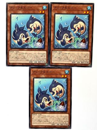 Click & Echo [Normal] JP030