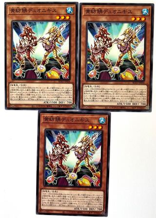 黄紡鮄デュオニギス ノーマル JP034