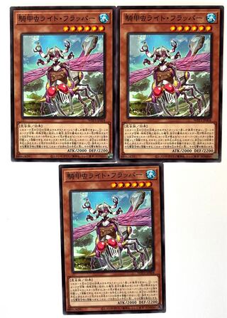 Cavalry Beetle Light Flapper Normal JP004