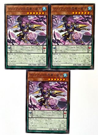 Valiant Ninja - Nangetsu [Normal] JP003