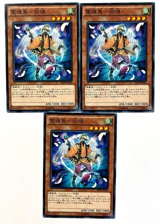 霊魂鳥-伝鳩 ノーマル JP024