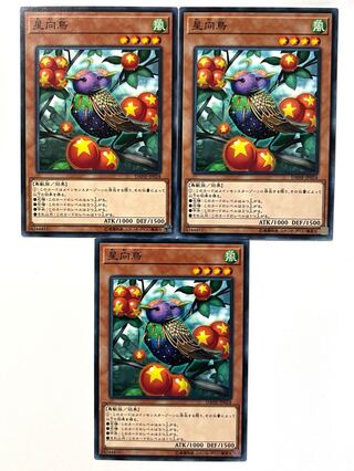 Star Staring Starling [Normal] JP024