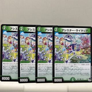 アシスター・サイネリア C 73/74 4枚