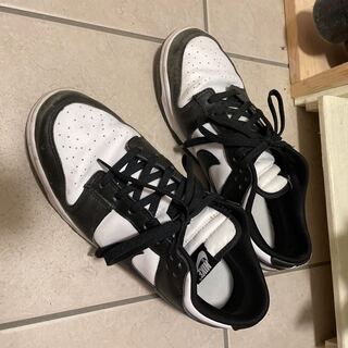 Nike Dunk Low Retro Ho Wight/Black Wight DD1391-100 28.5cm