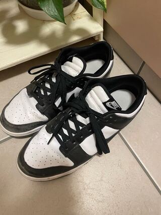 Nike Dunk Low Retro Ho Wight/Black Wight 28.5cm