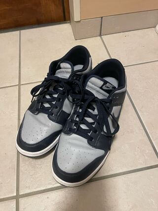 Nike Dunk Low Championship Grey 28.5cm