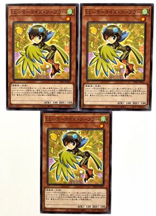 LL-Turquoise Warbler [Normal] JP043