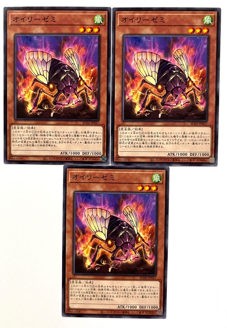 Euryzemi [Normal] JP027