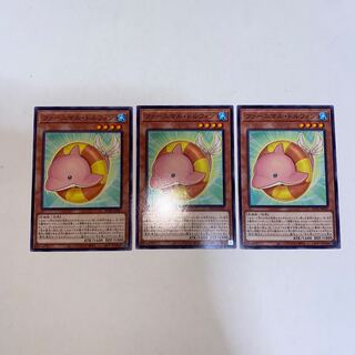 Fluffal Dolphin Normal JP021