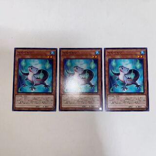 ヤモイモリ ノーマル JP029