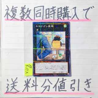 キキナガシ風鳥　ノーマルパラレル×1枚　遊戯王