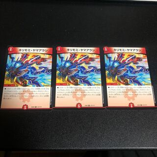 キリモミヤマアラシ