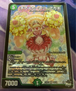 Cheer Scarlett Whitney