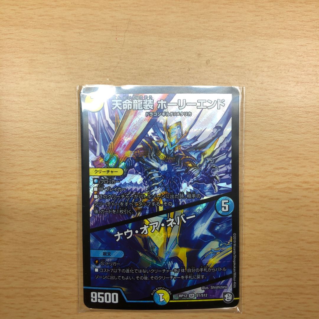 天命龍装ホーリーエンド