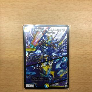 天命龍装ホーリーエンド