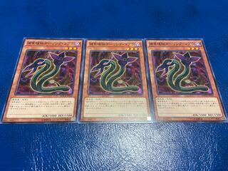 TAKUMI] Predaplant Darlingtonia Cobra Normal 3 sheets A-224