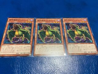 【TAKUMI】捕食植物プテロペンテス ノーマル 3枚　あ-229