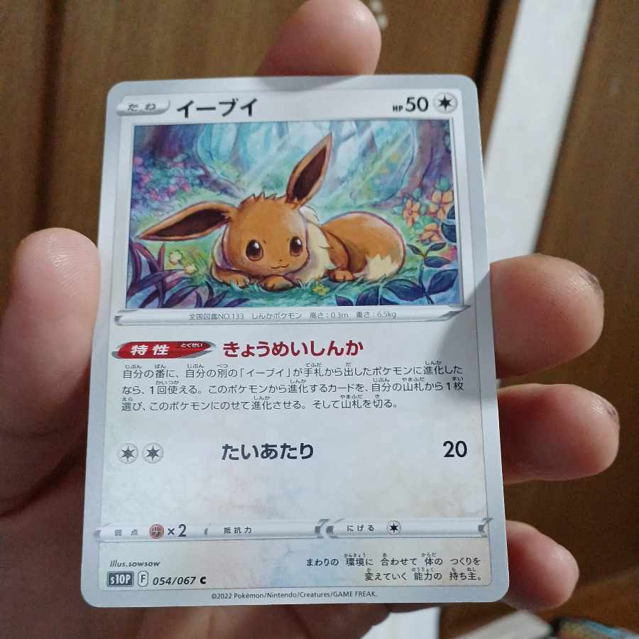 Actual ¥30 kokomg 39-3-Eevee
