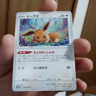 Actual ¥30 kokomg 39-3-Eevee