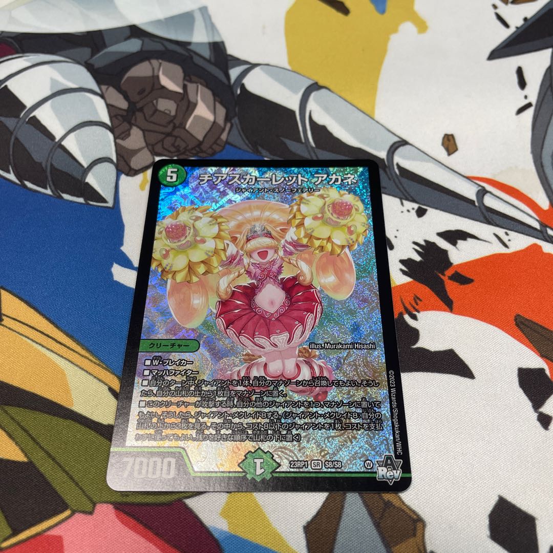 Cheer Scarlet Whitney SR S8/S8