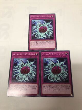 Paleozoic Dinomischus, set of 3