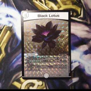 Black    Lotus    ブラックロータス