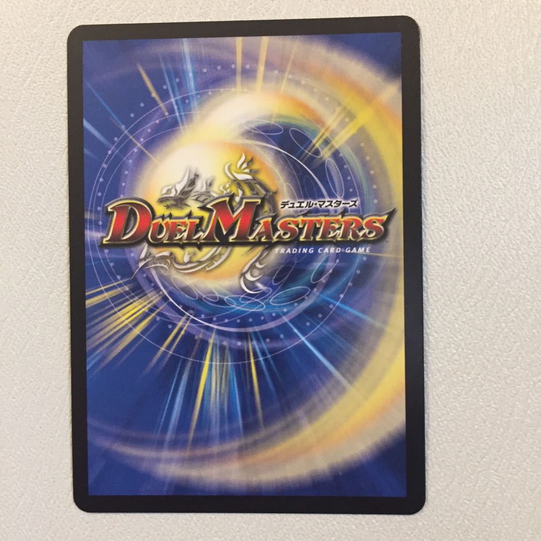 「絶対の楯騎士」