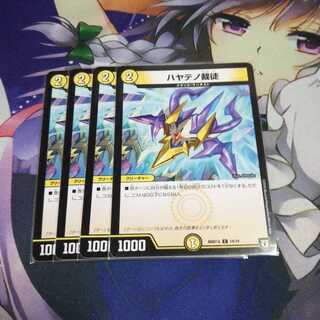 ハヤテノ裁徒 未使用④