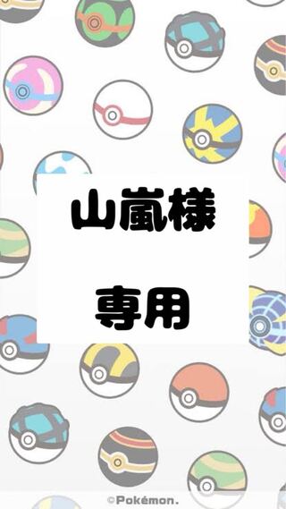 【山嵐様】専用
