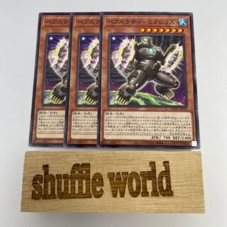 Béarcti - Miquivi Squirrel 157