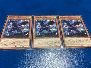 TAKUMI] Rei Soul Bird - Shinigami Raven, normal, 3 pieces, A-283