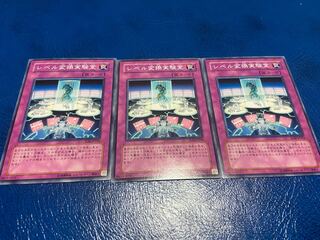 TAKUMI] Level Conversion Lab Normal 3 sheets A-288