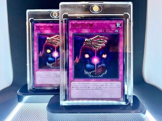 血肉の代償　2枚セット