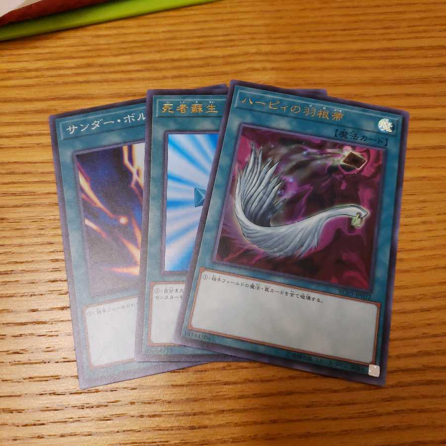 ハーピィの羽根箒　死者蘇生　サンダーボルト