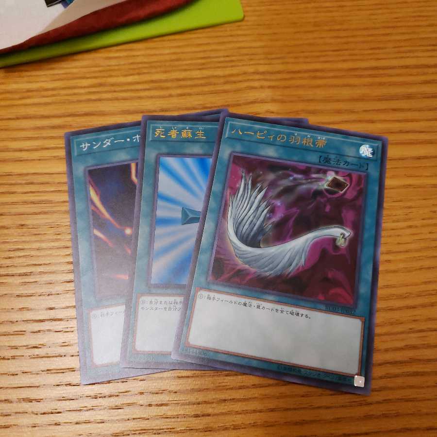 ハーピィの羽根箒　死者蘇生　サンダーボルト