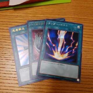 ハーピィの羽根箒　死者蘇生　サンダーボルト