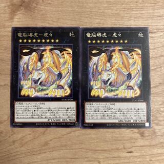 電脳堺虎-虎々 レア JP046