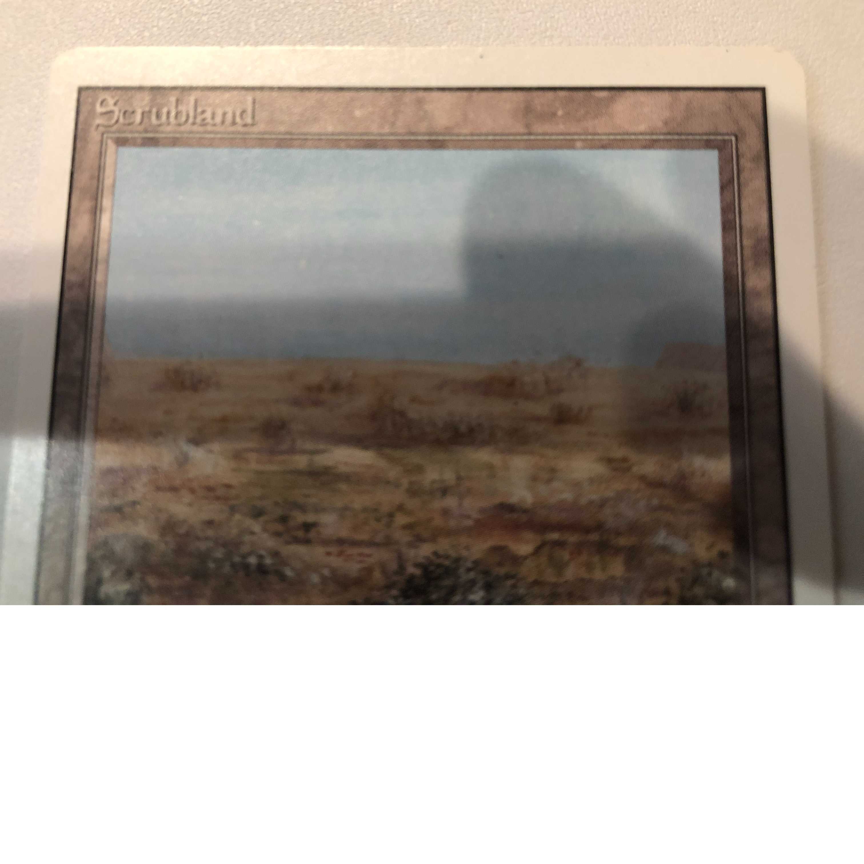 Scrubland《英語》【3ED】