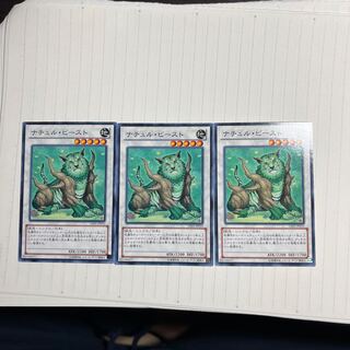 Naturia Beast Normal JP010 1枚