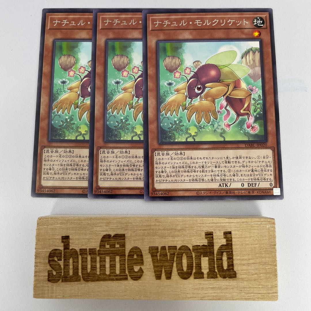 Natural Mole Cricket 183 1枚