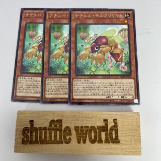 Natur Mole Cricket 184