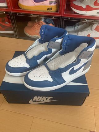 Nike Air Jordan 1 High OG "True Snubbull" True Snubbull/Ho Wight/Cement Grey DZ5485-410 28.5cm