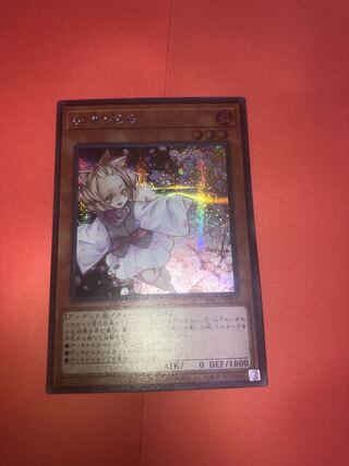 Ash Blossom & Joyous Spring