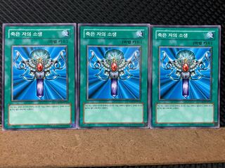 【ぽぽたん】遊戯王 6076 死者蘇生 3枚 ノーマル 韓国