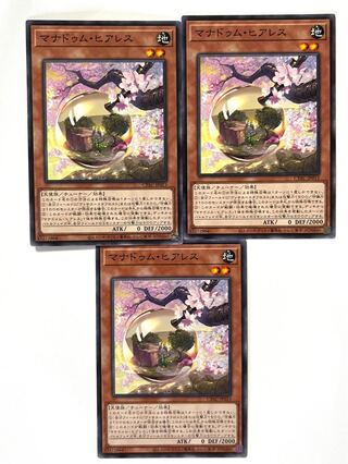 Manadum Healeth [Normal] JP013